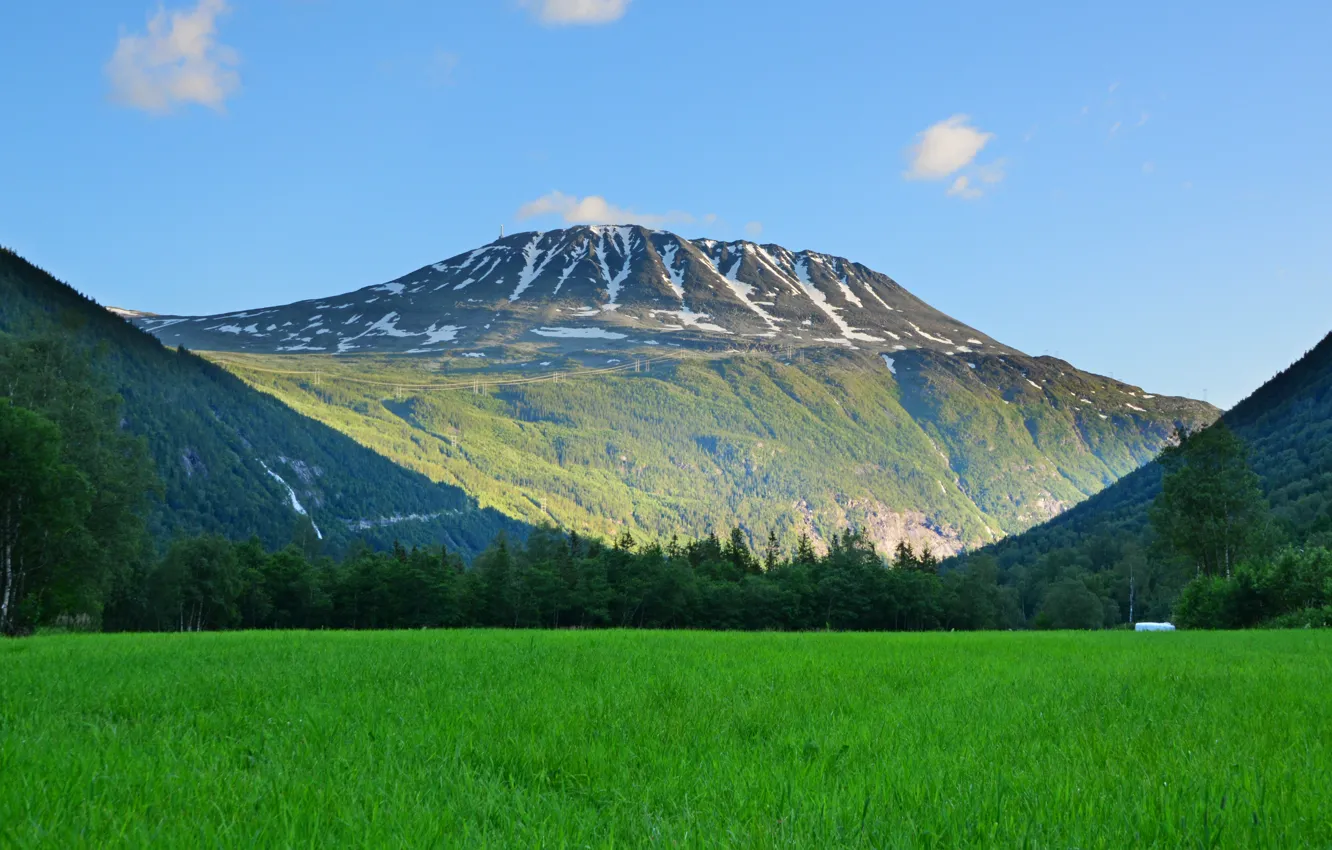 Photo wallpaper Nature, Field, Grass, Norway, Nature, Grass, Mountain, Norway