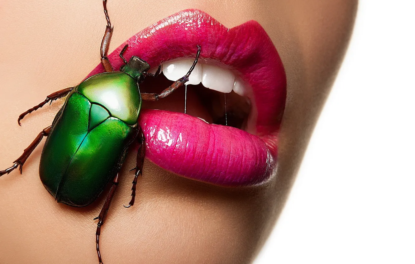 Photo wallpaper beetle, lips, Beetle Beauty