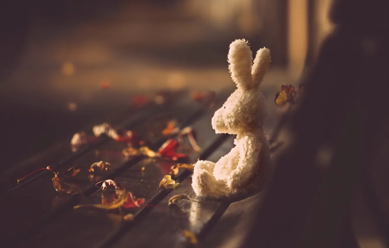 Photo wallpaper autumn, leaves, toy, bench