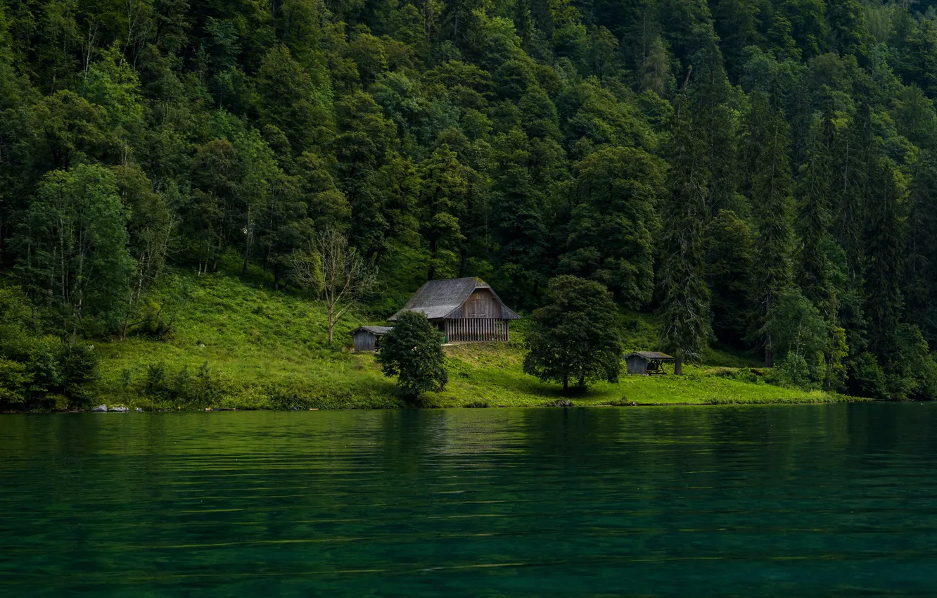 Photo wallpaper forest, shore, ate, house, pond