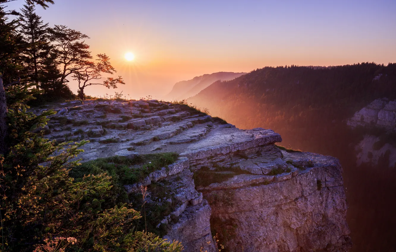 Photo wallpaper forest, the sky, grass, the sun, trees, landscape, sunset, mountains