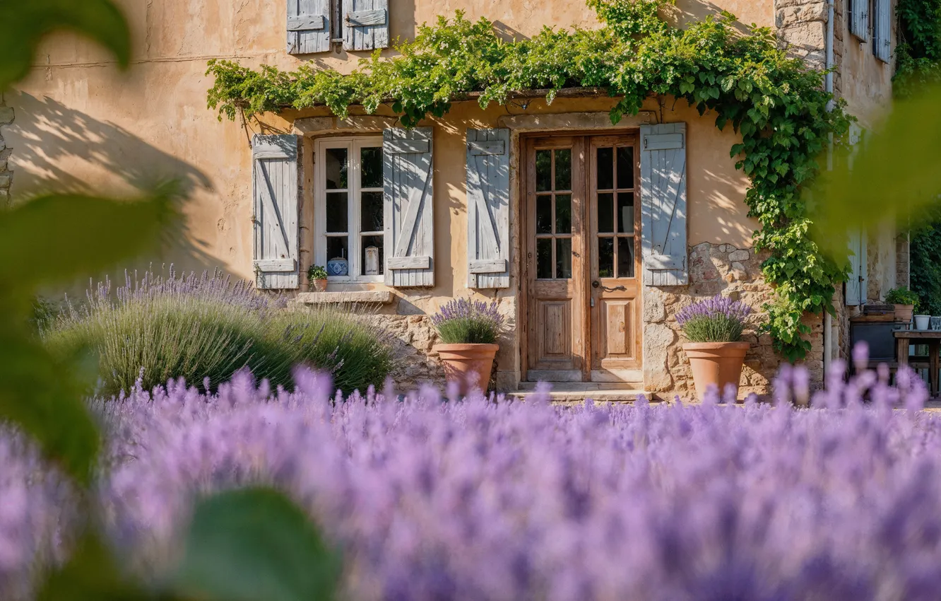 Photo wallpaper the sun, home, summer, house, sunshine, vacation, flowering, landscape