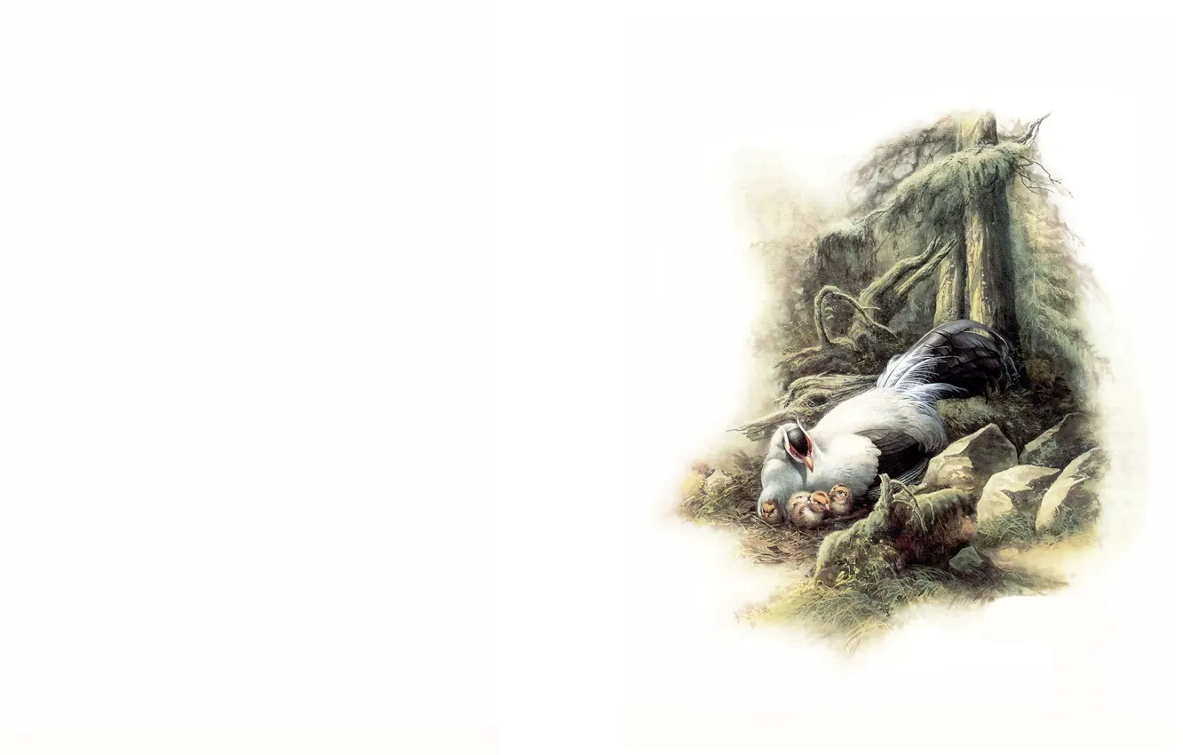 Photo wallpaper nature, bird, art, sketch, Xiao Zeng, Liang, Zeng Xiao Lian