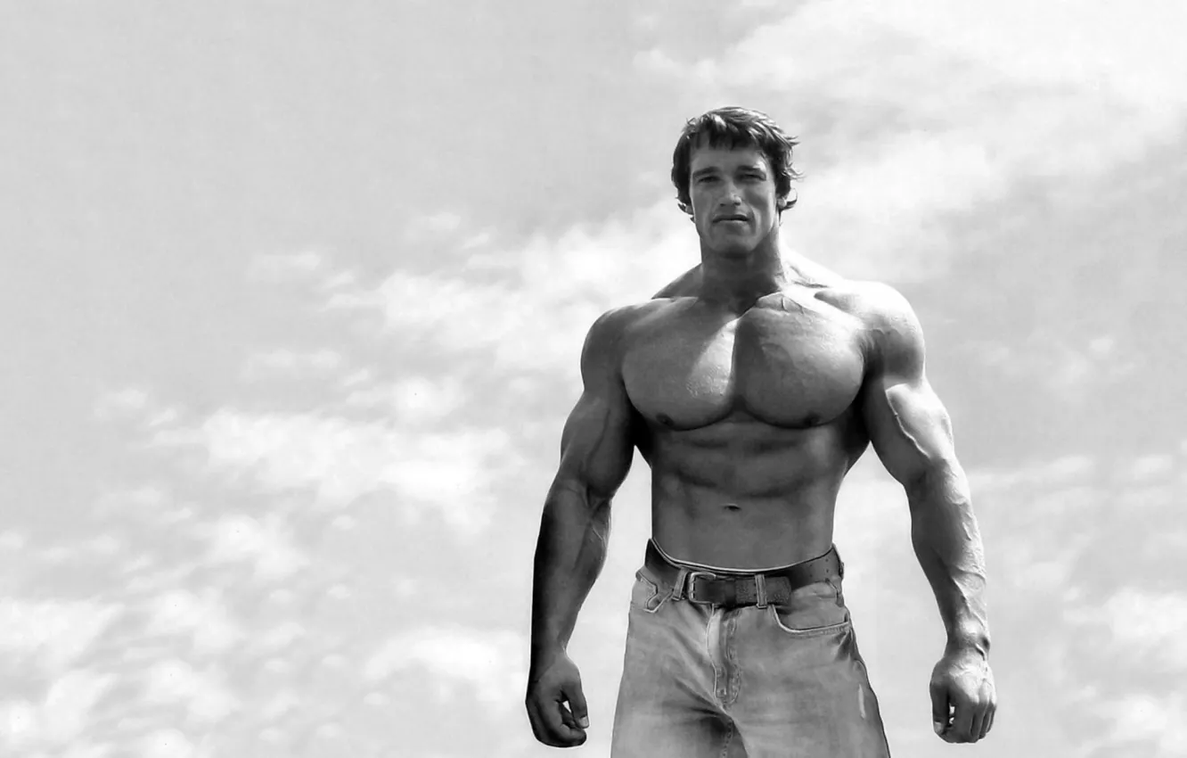 Photo wallpaper Arnold Schwarzenegger, Bodybuilding, Bodybuilding, Iron Arnie