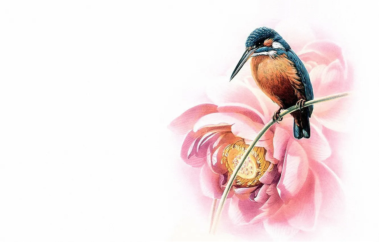 Photo wallpaper bird, minimalism, art, Lotus, Master, East, painting