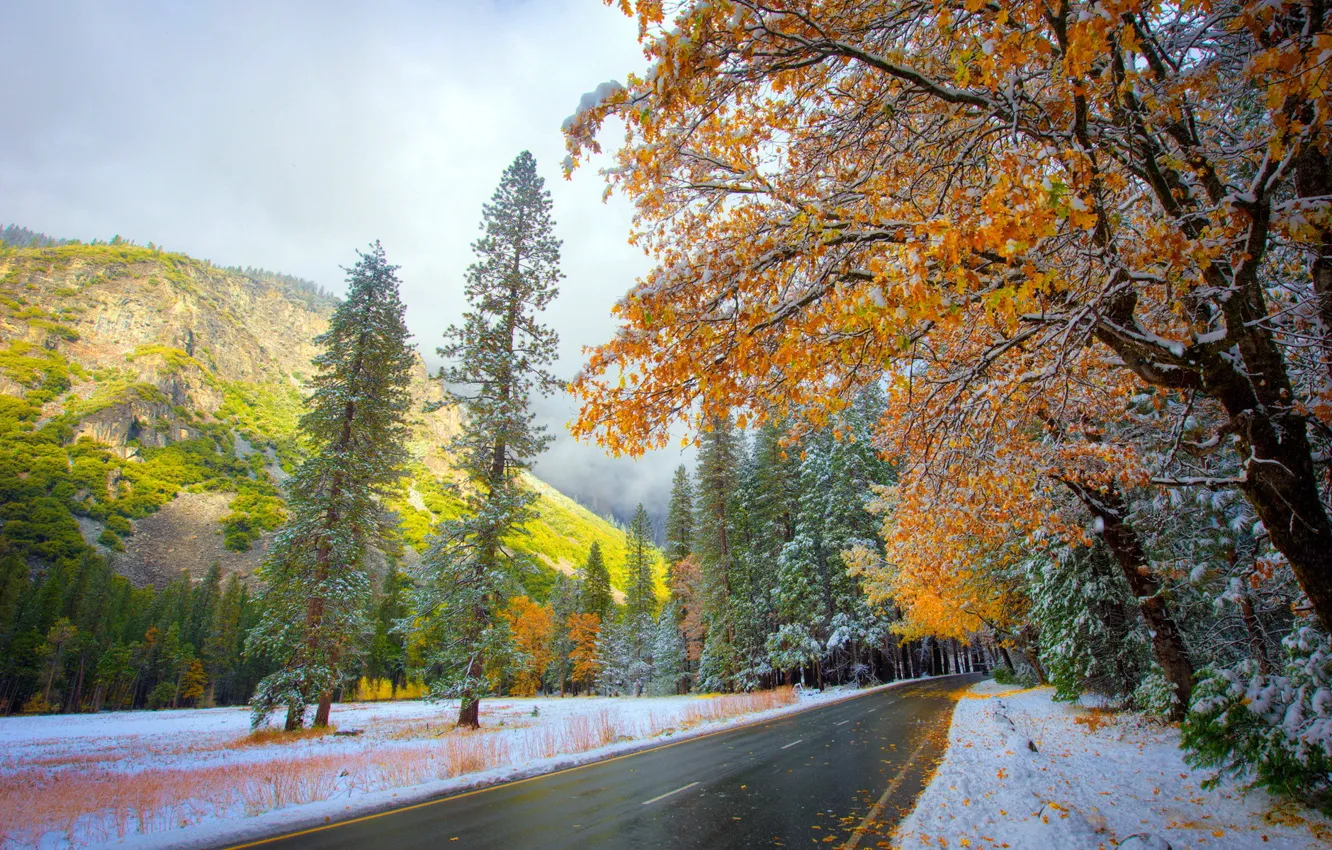 Photo wallpaper road, autumn, snow, nature
