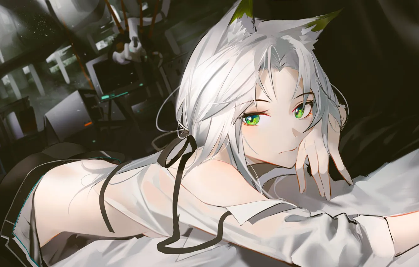Photo wallpaper girl, room, ears, Arknights, Calcite