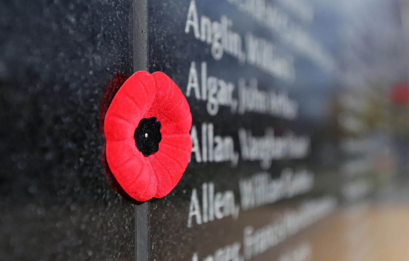 Photo wallpaper Canada, Kingston, Day of remembrance, British Commonwealth