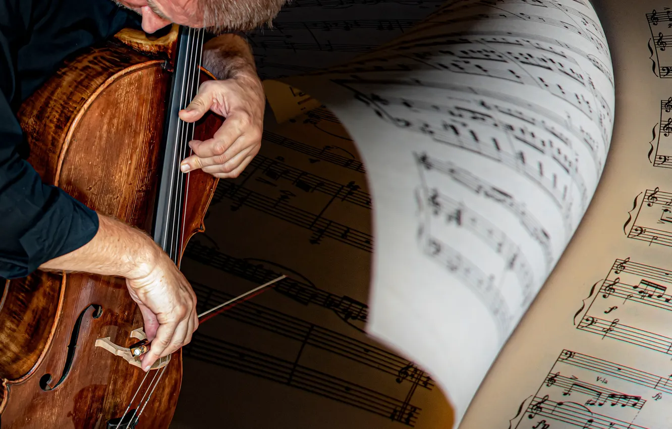 Photo wallpaper notes, music, cello, male, musician, Cellist