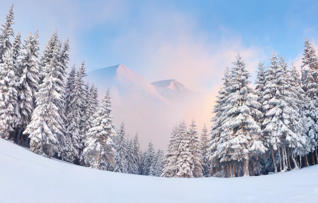 Photo wallpaper winter, forest, snow, landscape, mountains, nature, fog, tree