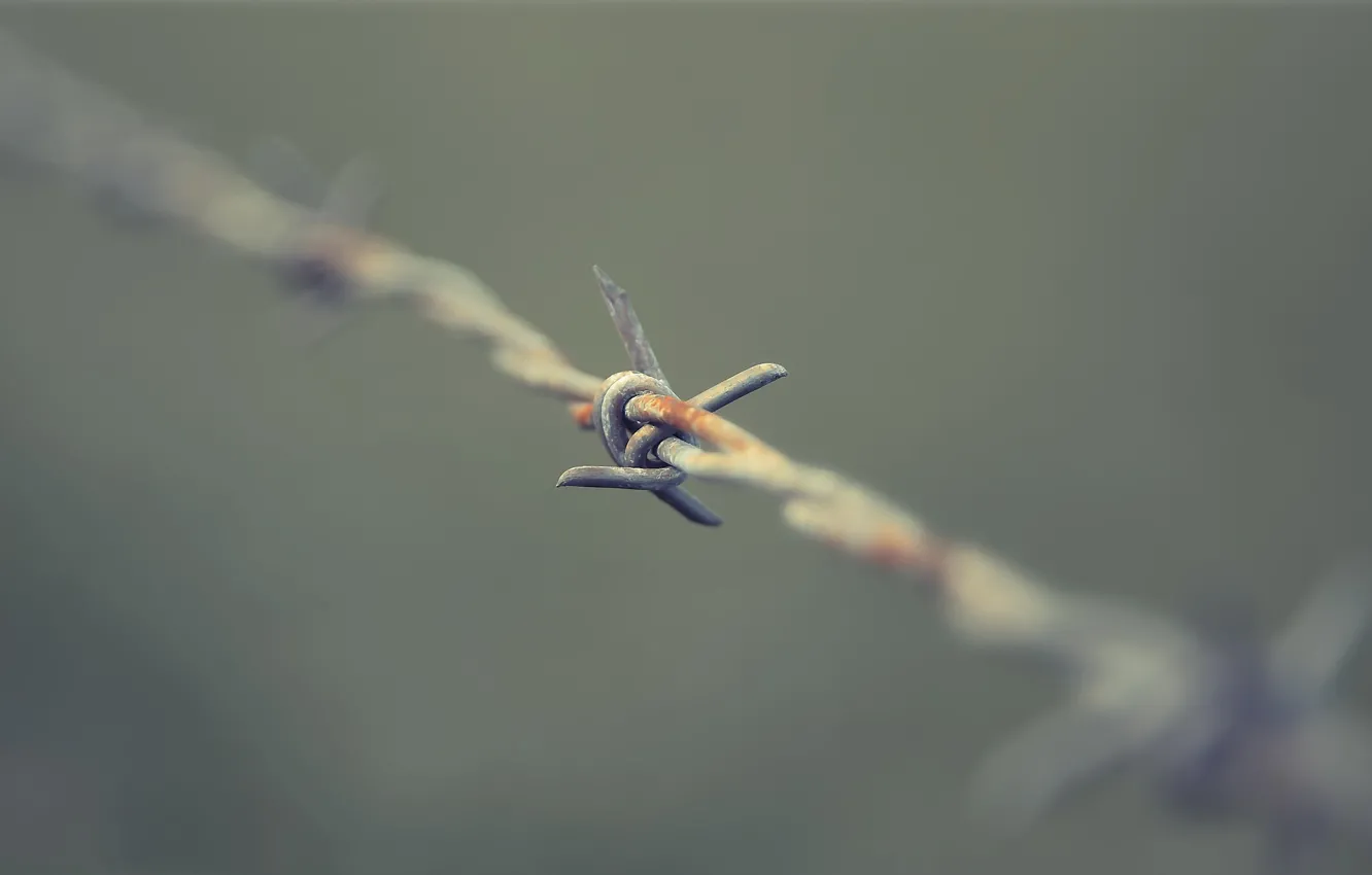 Photo wallpaper background, the fence, barbed wire