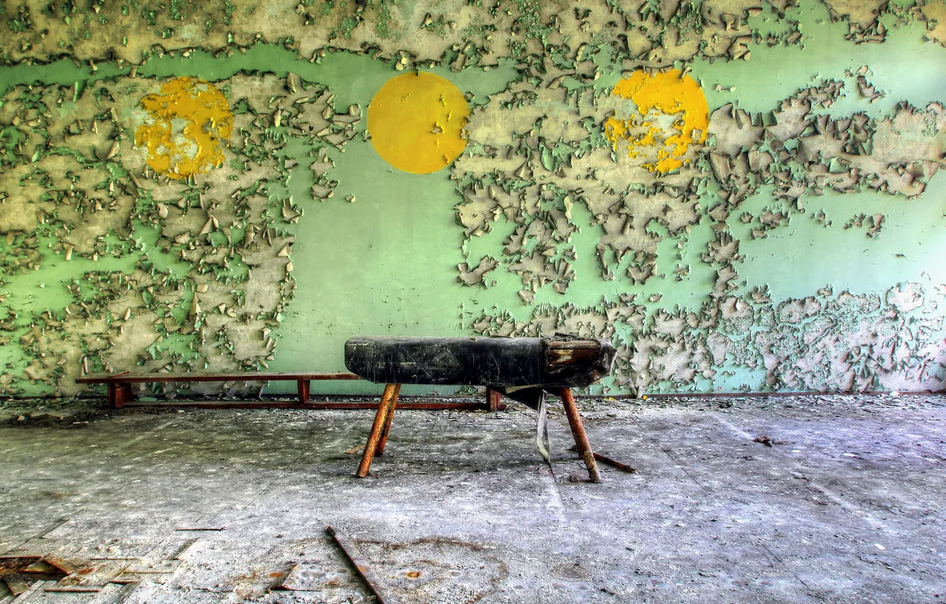 Photo wallpaper horse, sport, interior, hall