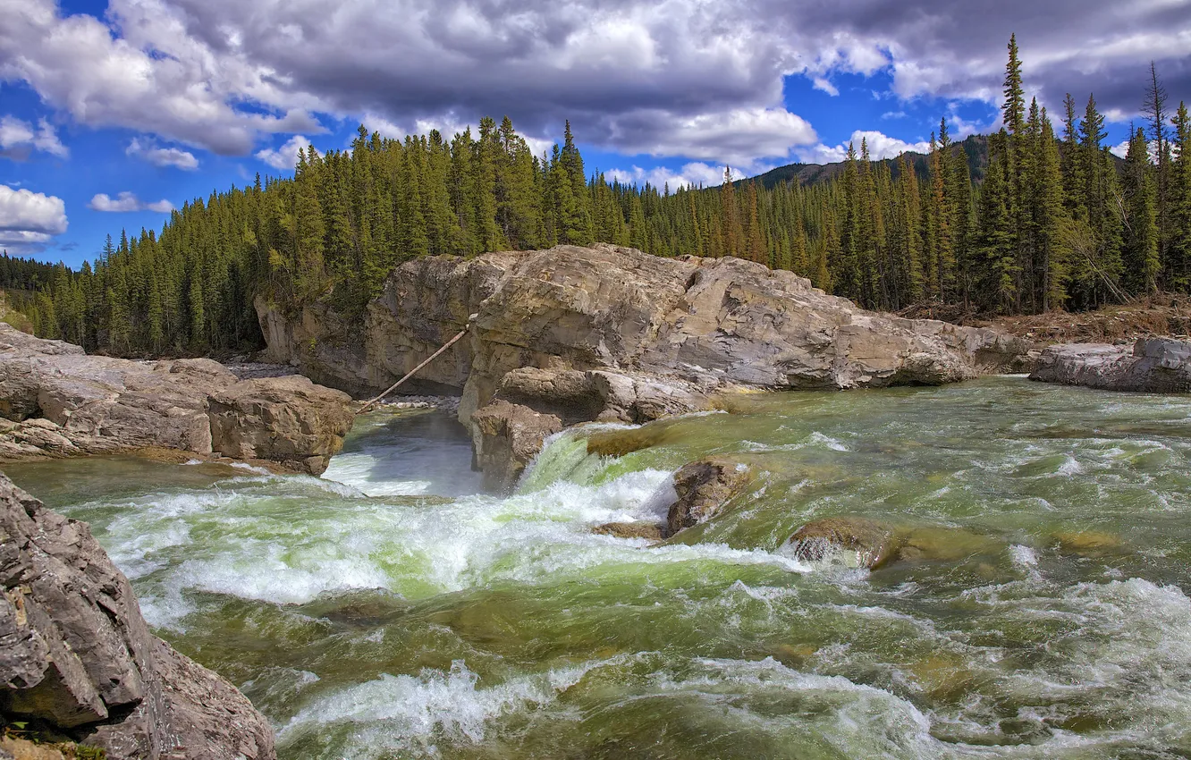 Photo wallpaper forest, the sky, clouds, mountains, river, stream