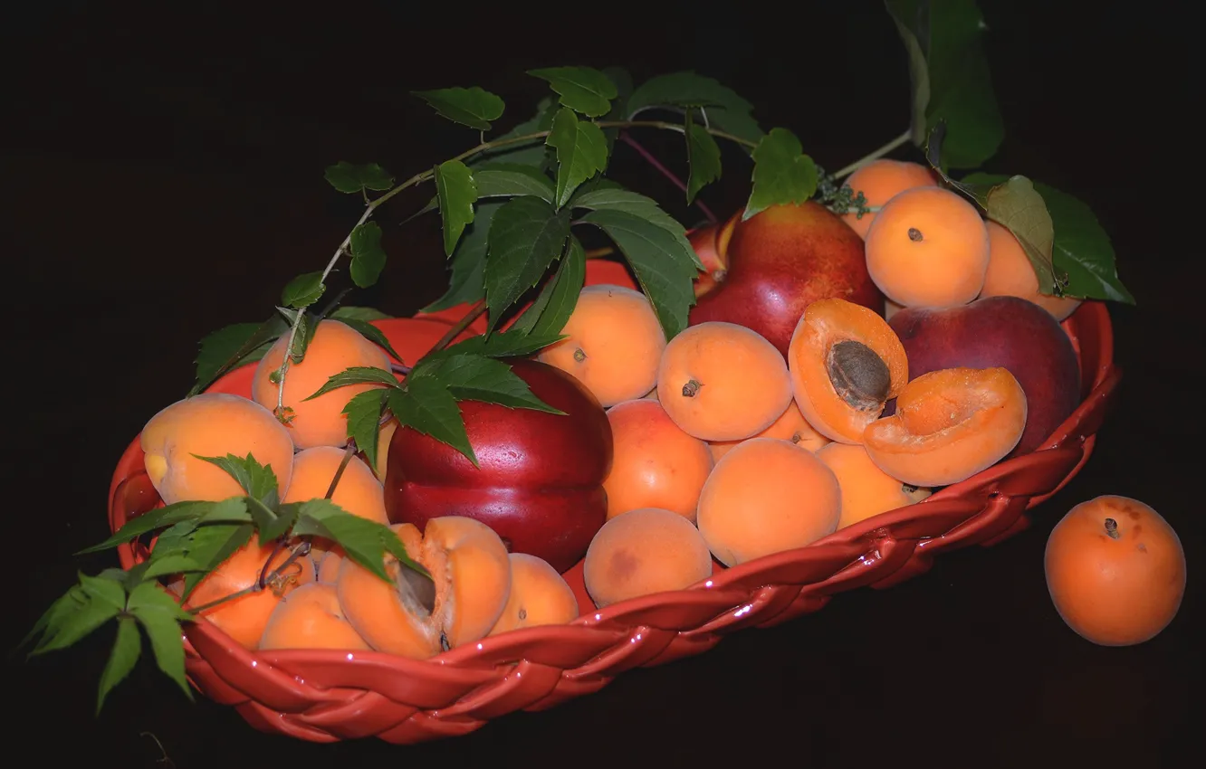 Photo wallpaper fruit, apricots, nectarine