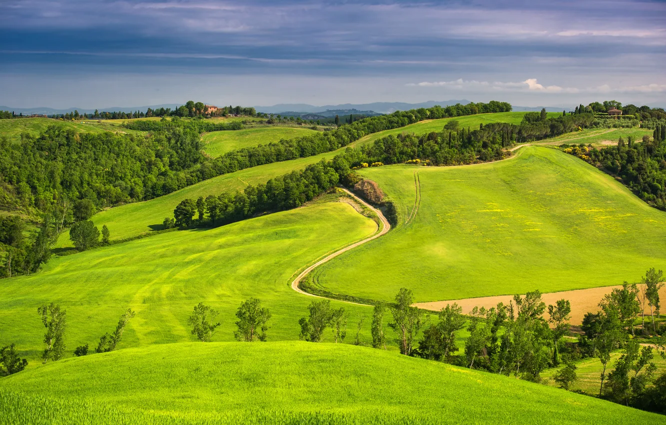 Photo wallpaper road, field, forest, the sky, clouds, trees, mountains, hills