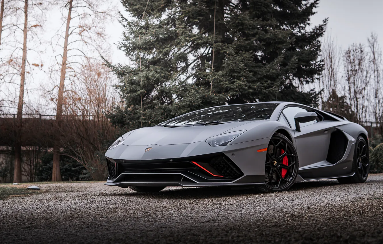 Photo wallpaper trees, Lamborghini, Aventador, 2022, Lamborghini Aventador LP 780-4 Ultimae, LP 780-4, Ultimae