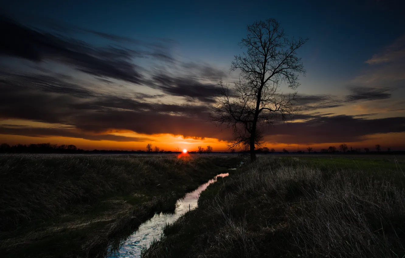 Photo wallpaper field, trees, sunset, stream, the evening, twilight