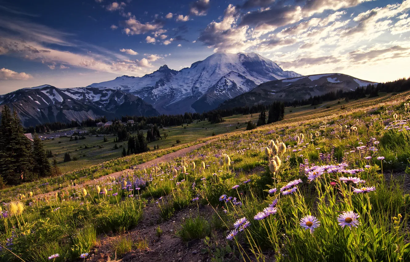 Photo wallpaper the sky, clouds, trees, flowers, mountains, glade, the evening, Washington