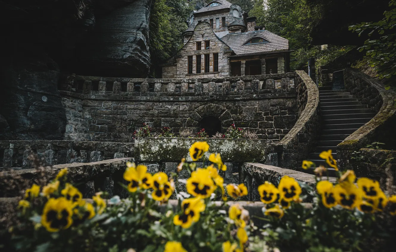 Photo wallpaper flowers, castle, ladder, Pansy, flowerbed, bokeh, viola