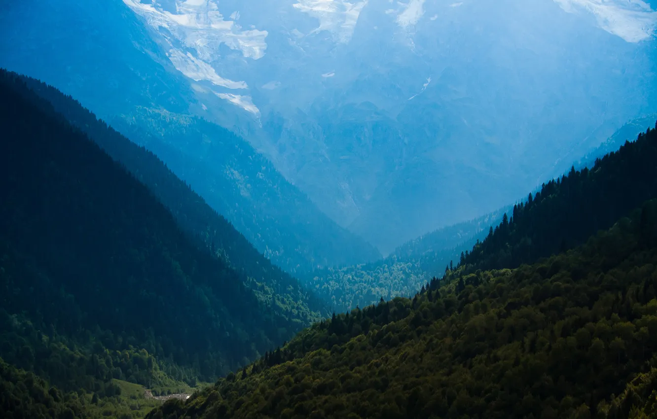 Photo wallpaper forest, landscape, mountains, nature, Wallpaper, panorama, Georgia, wallpapers