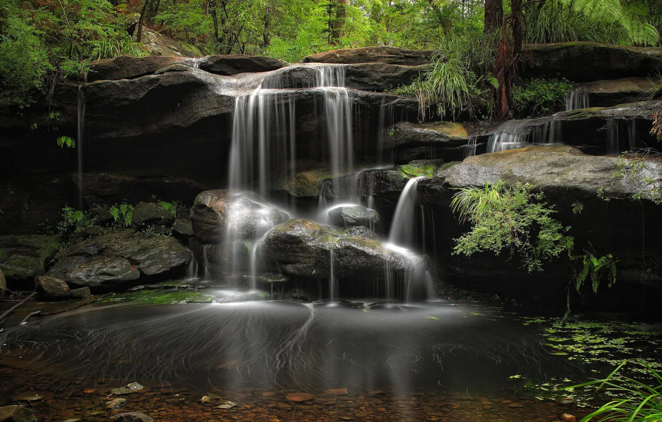 Photo wallpaper forest, nature, waterfall, pitch