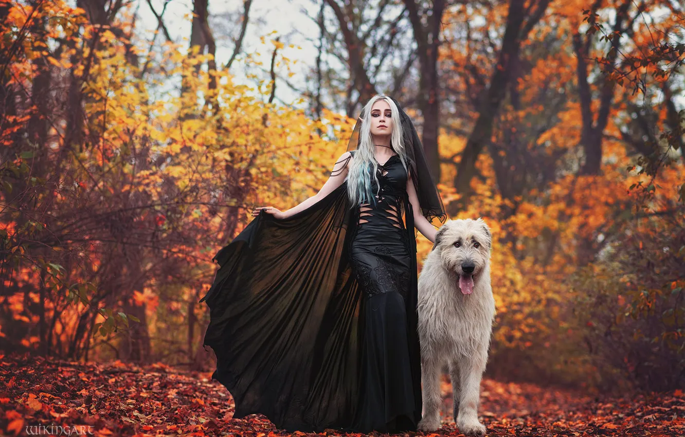 Photo wallpaper autumn, forest, girl, nature, pose, style, dog, makeup