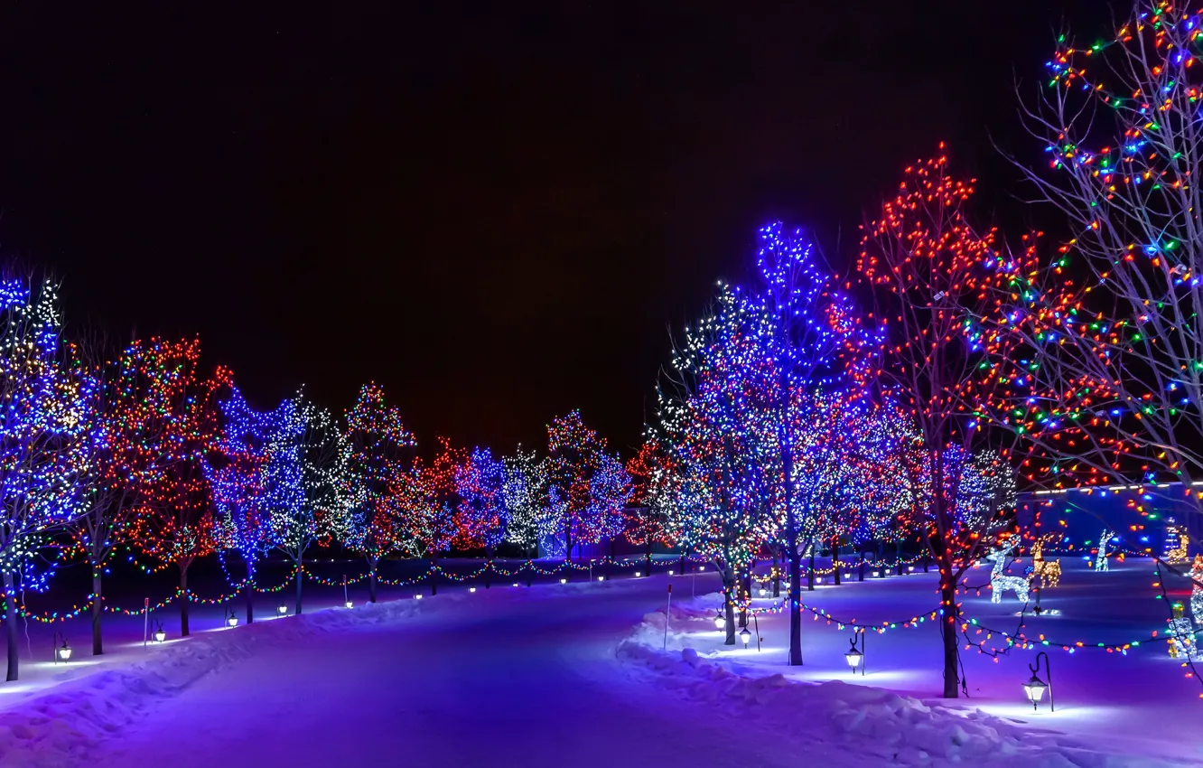 Photo wallpaper winter, road, snow, trees, night, the city, Park, holiday