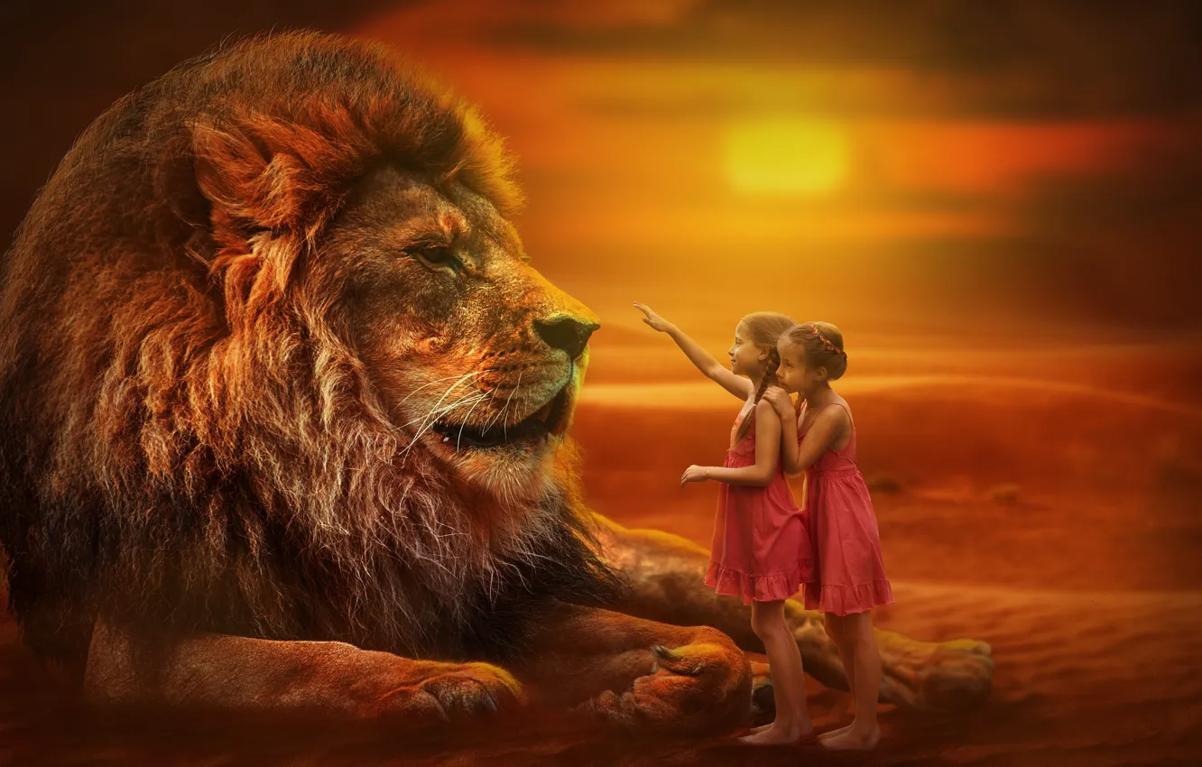 Photo wallpaper desert, positive, Leo, desert, lion, sisters, positive, sisters