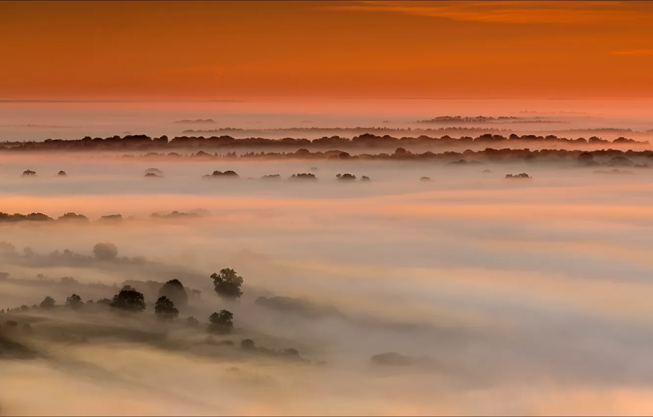 Photo wallpaper field, the sky, trees, sunset, fog