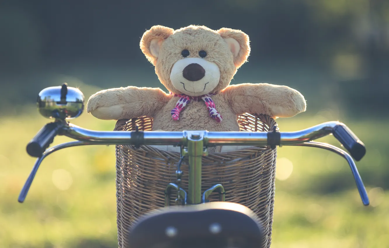 Photo wallpaper summer, sunset, bike, basket, toy, bear, bear, summer