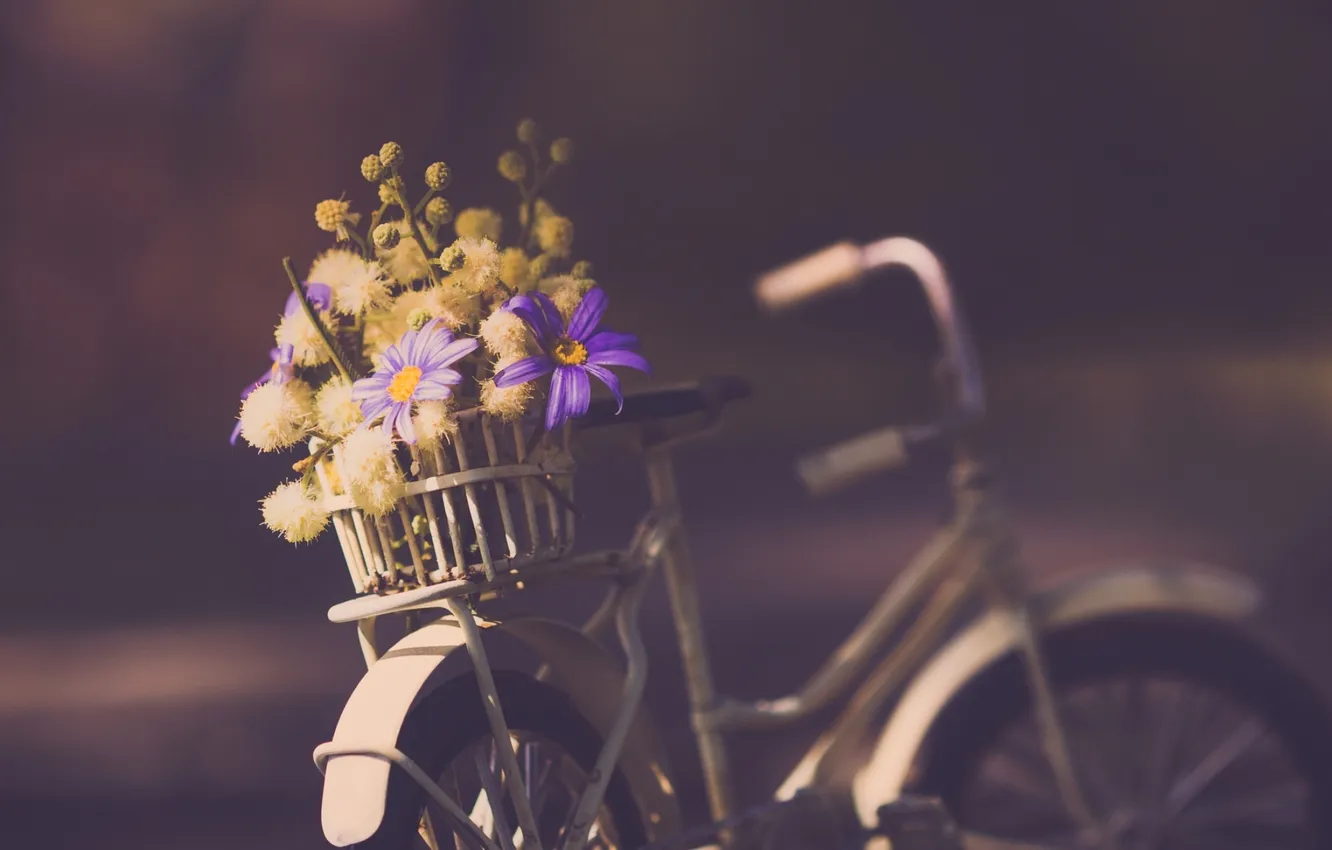 Photo wallpaper flowers, bike, background