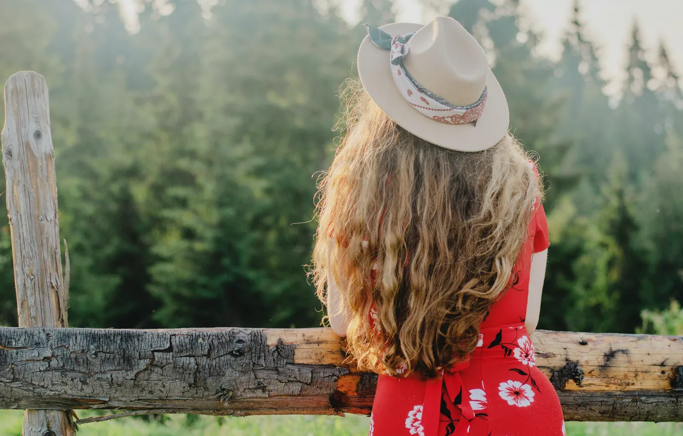 Photo wallpaper forest, girl, nature, the fence, back, hat, dress, the fence