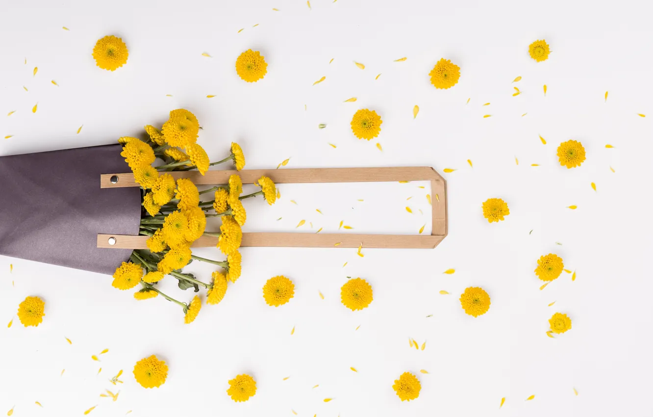 Photo wallpaper flowers, bouquet, handbag, Daisy