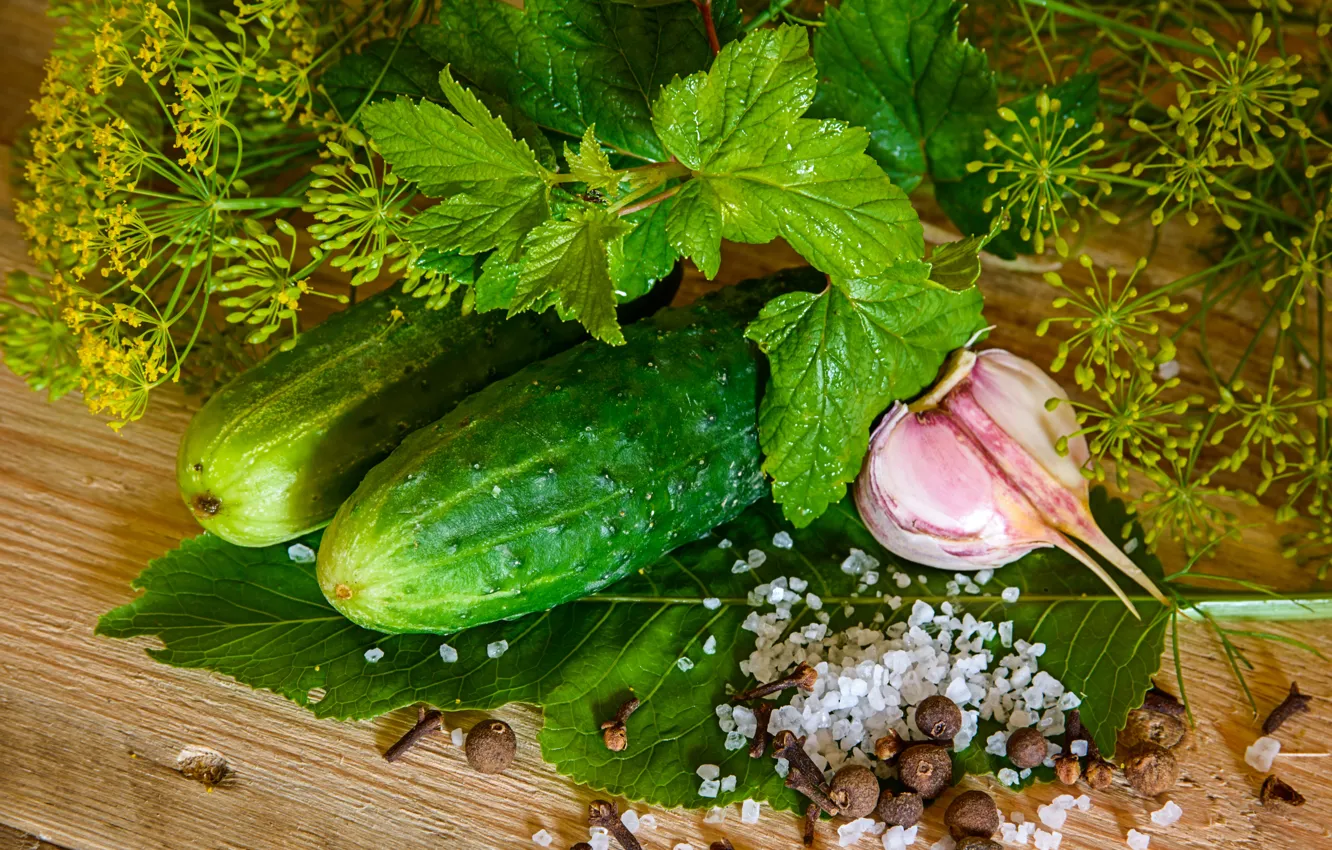 Photo wallpaper greens, dill, cucumbers, spices, salting, garlic