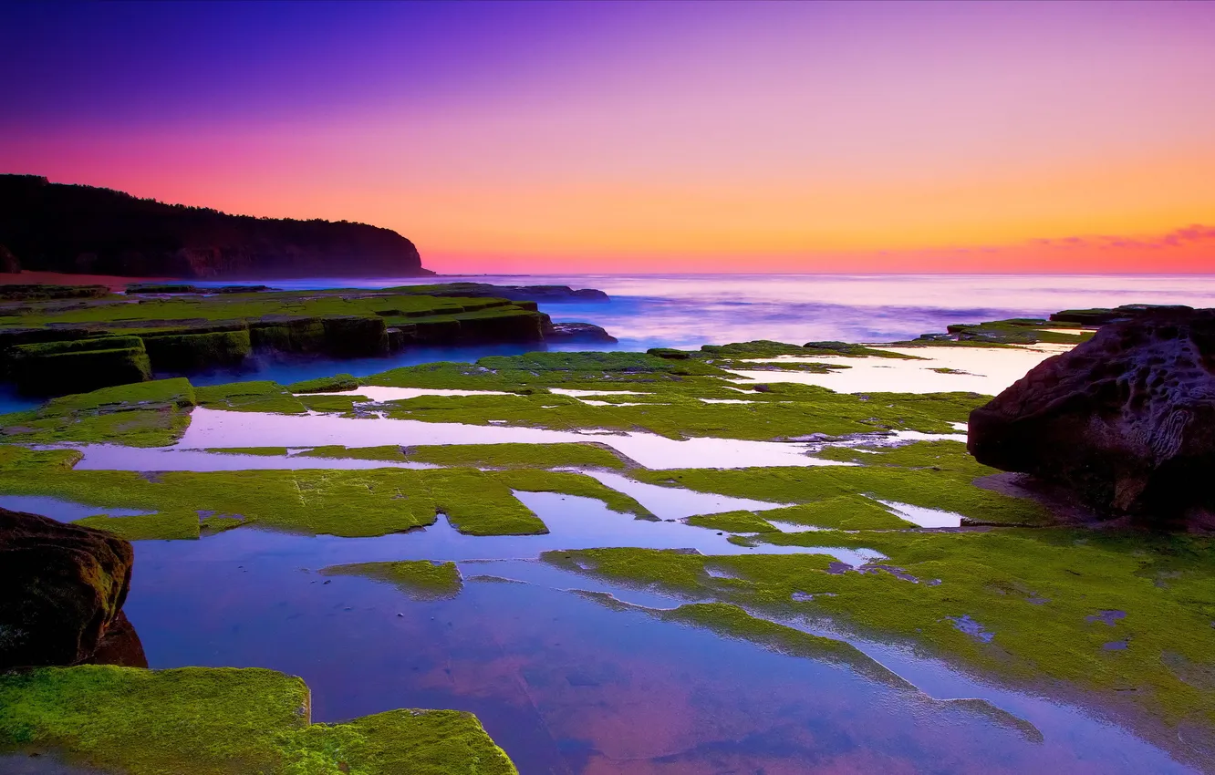 Photo wallpaper sea, landscape, sunset, stones, moss