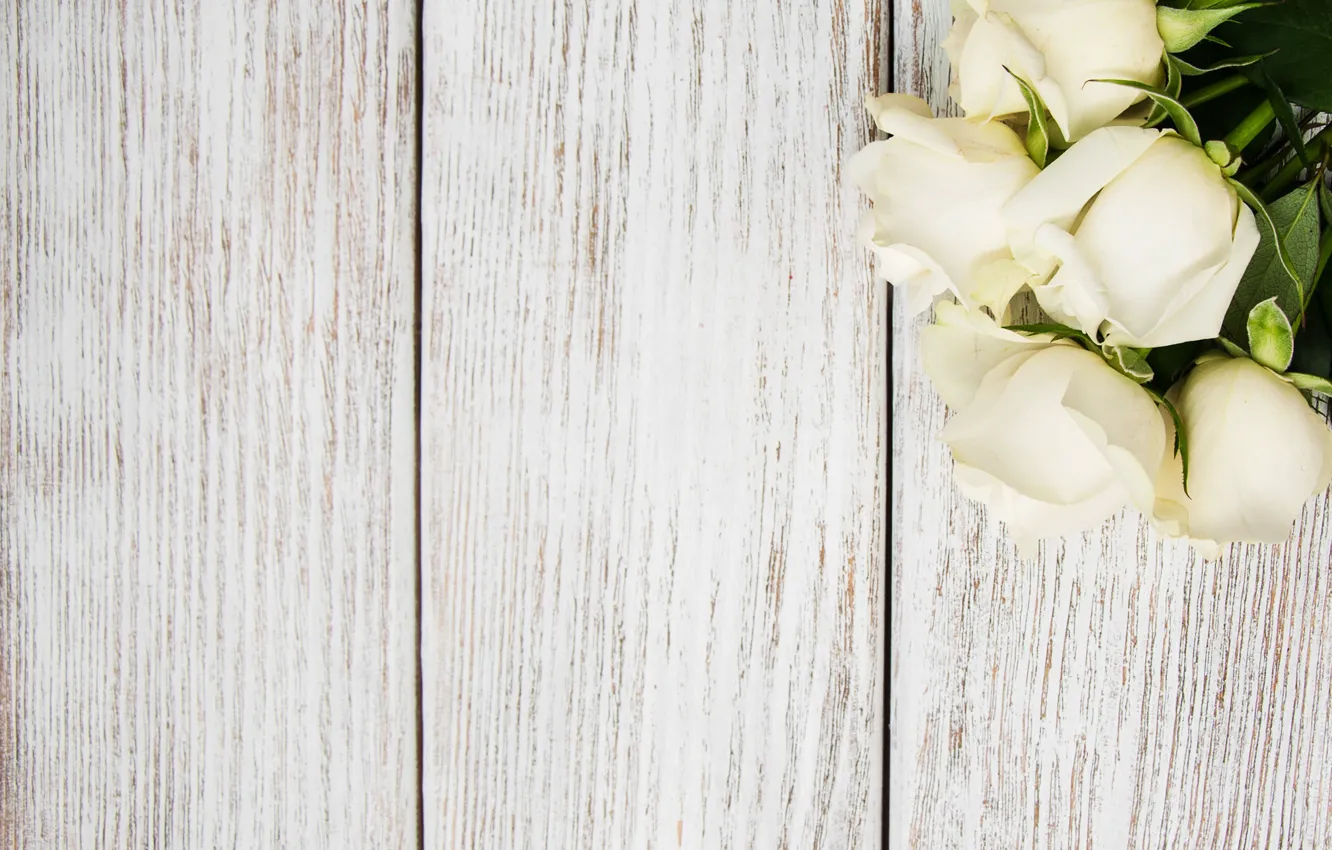 Photo wallpaper table, background, roses, wooden, white, buds, Olena Rudo