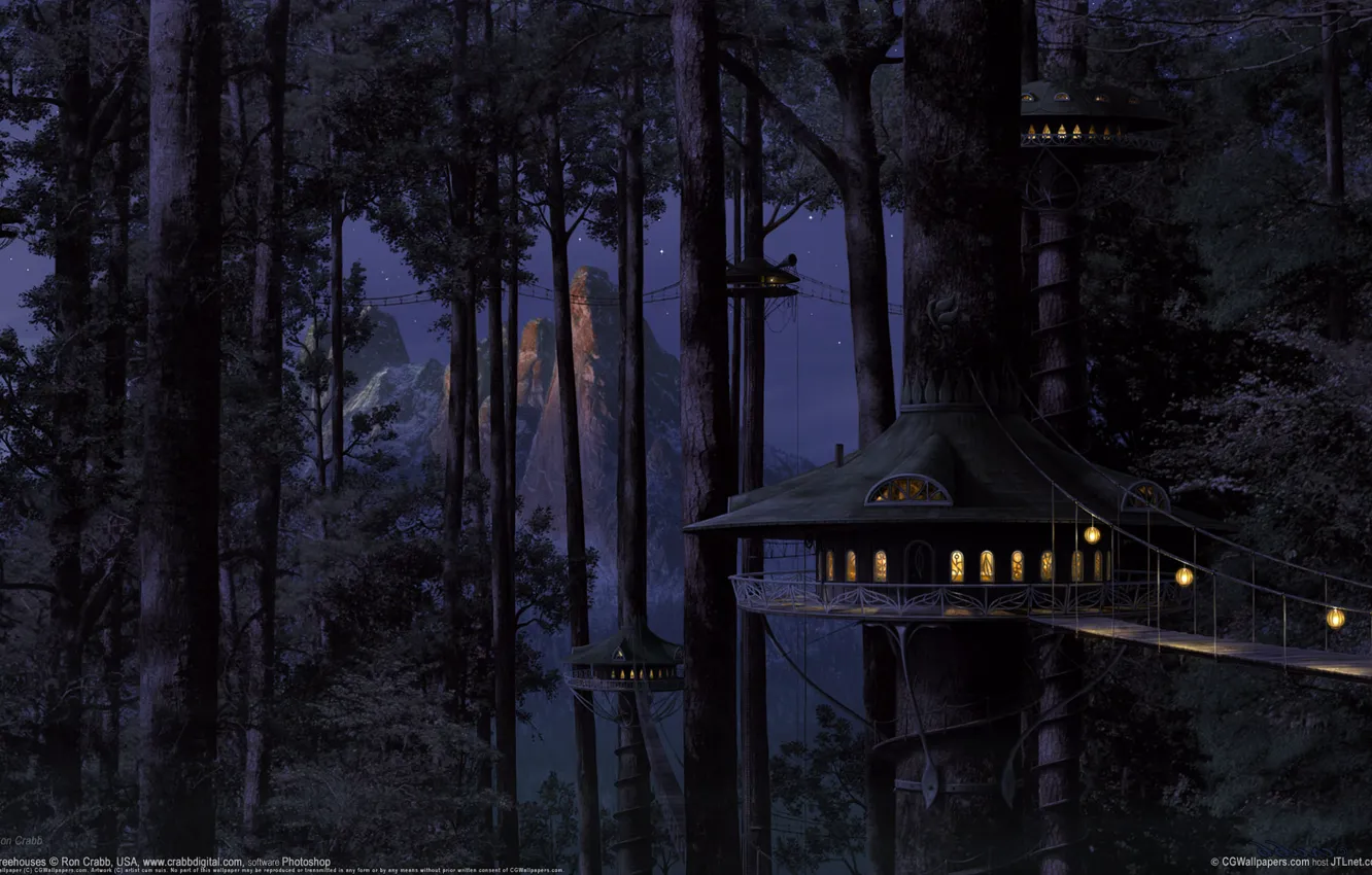 Photo wallpaper forest, bridge, house