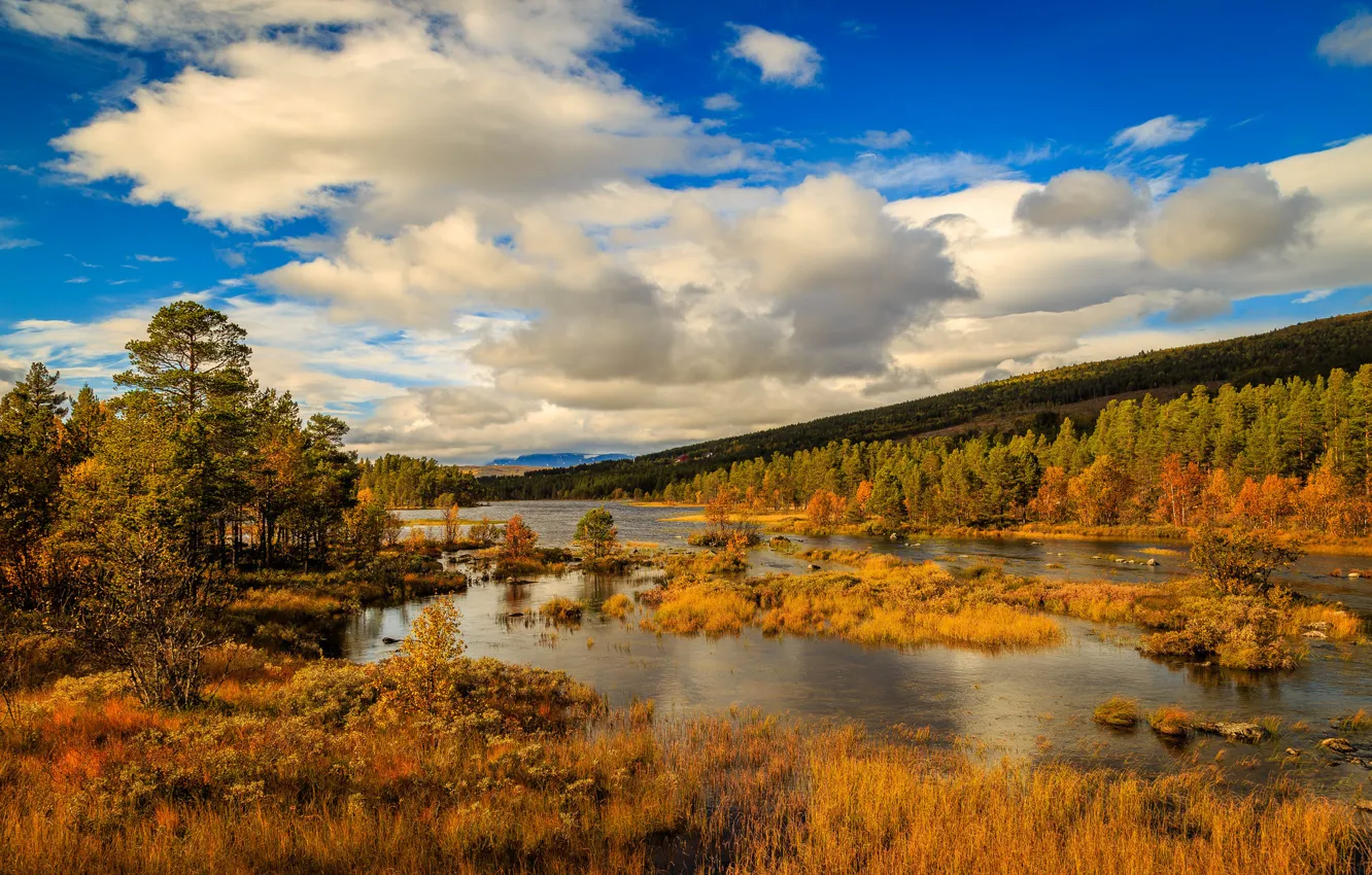 Photo wallpaper autumn, clouds, trees, mountains, river, Norway
