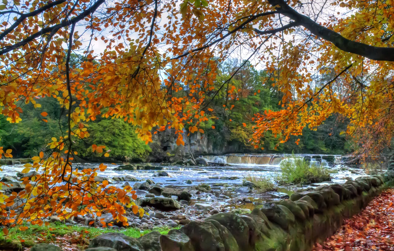 Photo wallpaper leaves, autumn, thresholds, river, waterfall