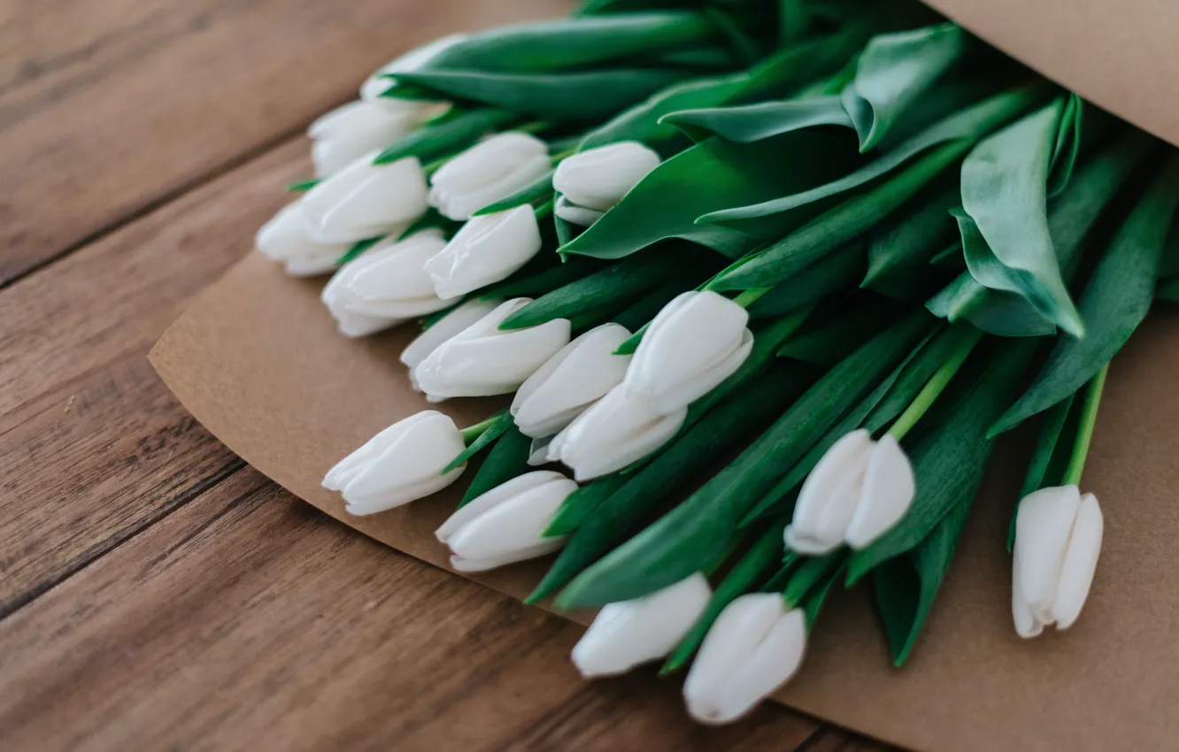 Photo wallpaper Board, bouquet, spring, package, tulips, white, buds, a lot