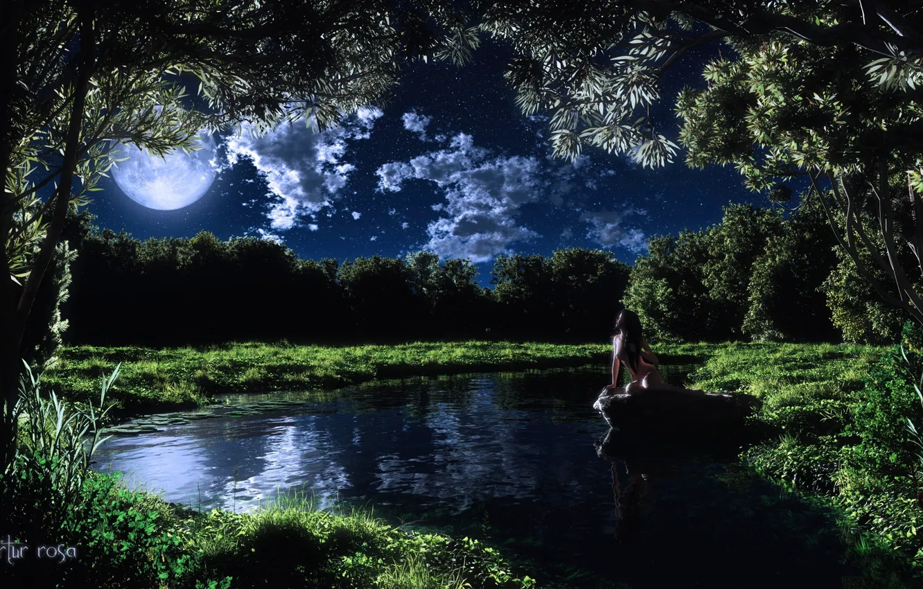 Photo wallpaper grass, girl, clouds, trees, night, lake, the moon, stone