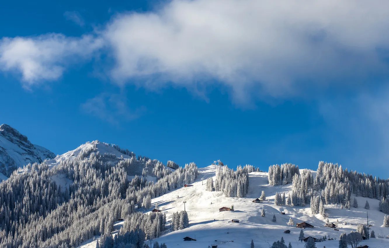 Photo wallpaper winter, the sky, clouds, snow, trees, mountains, spruce, Switzerland