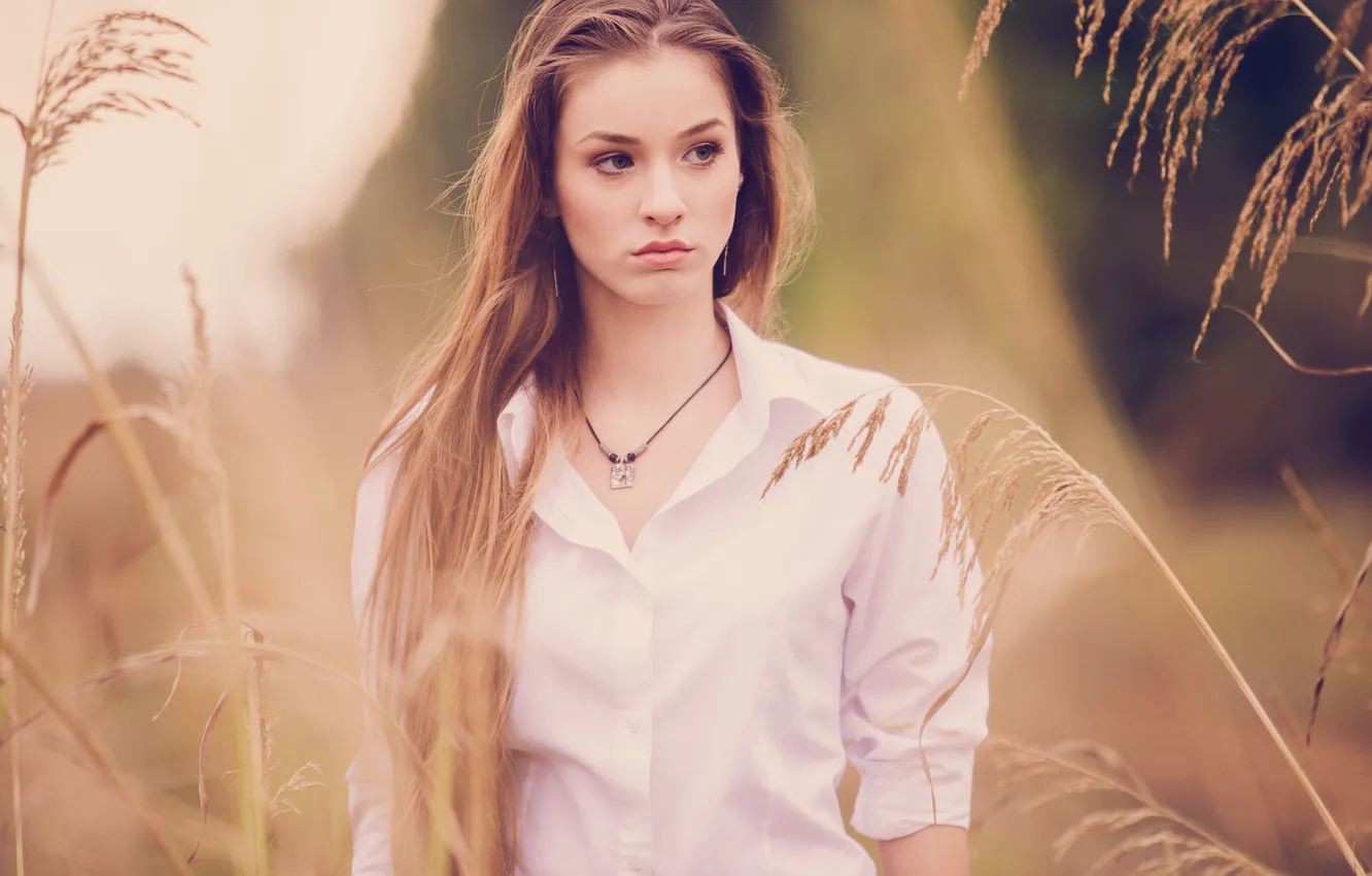 Photo wallpaper girl, portrait, shirt