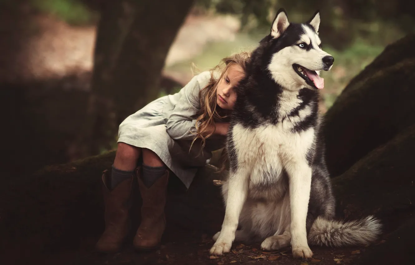 Photo wallpaper each, dog, girl, husky, Edie Layland