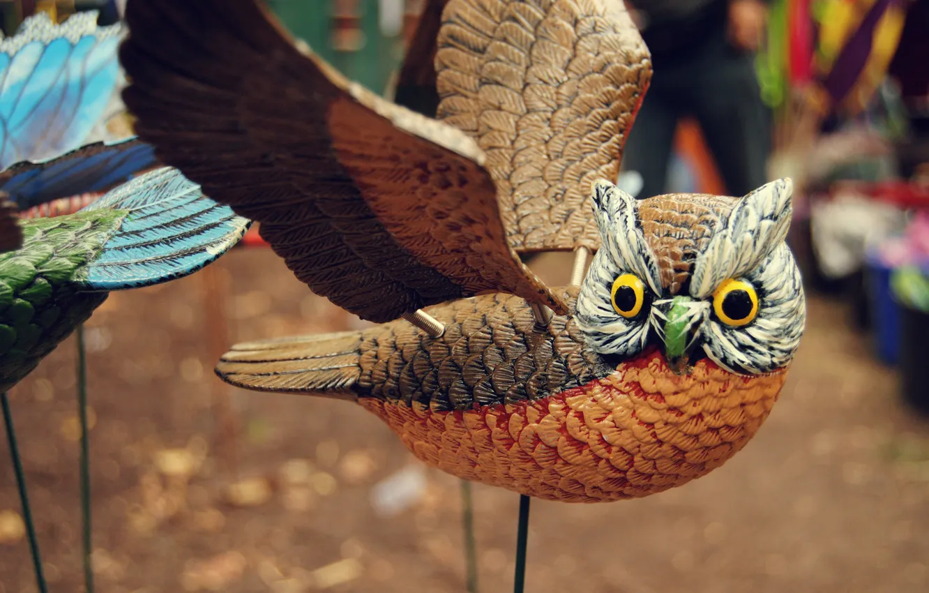 Photo wallpaper owl, bird, wings, figure