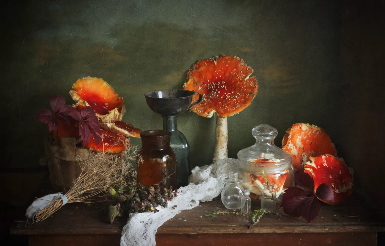 Photo wallpaper leaves, mushrooms, Board, bottle, mushroom, Bank, dishes, still life