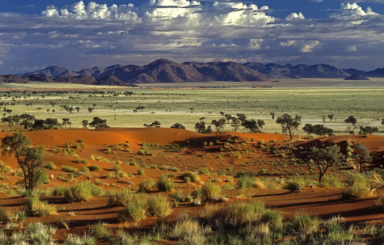 Photo wallpaper field, the sky, clouds, trees, landscape, mountains, nature, desert