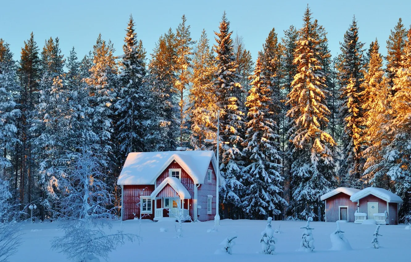 Photo wallpaper forest, twilight, Winter, trees, landscape, nature, sunset, snow