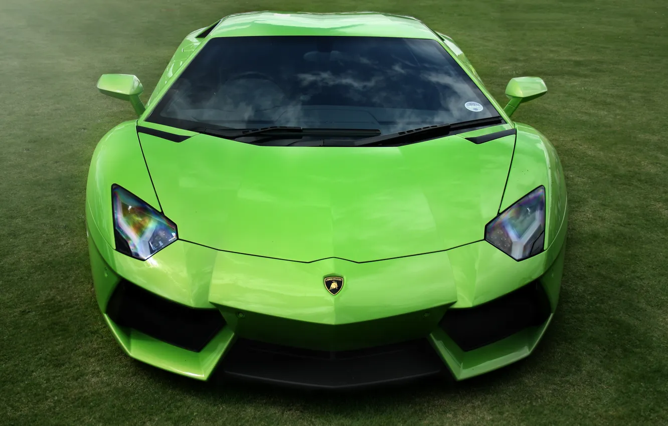 Photo wallpaper green, Lamborghini, walls, LP700-4, Aventador, Supercar