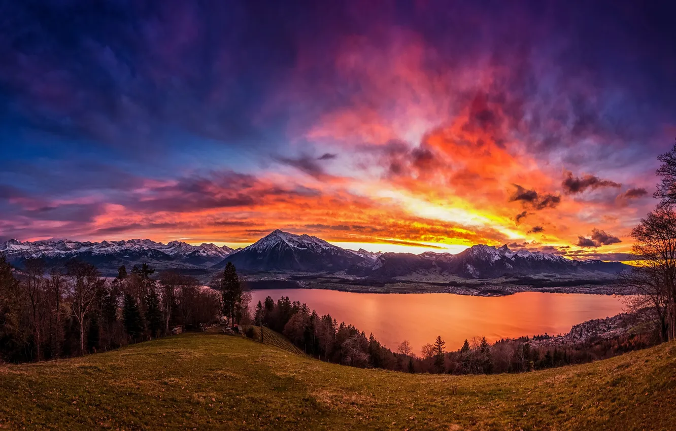 Photo wallpaper forest, the sky, clouds, landscape, sunset, mountains, nature, lake